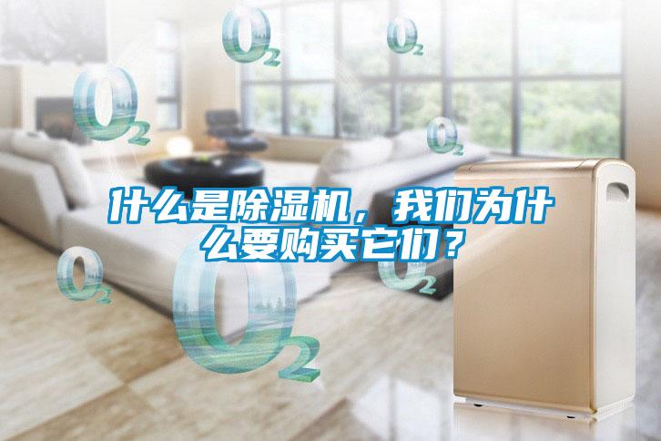什么是除濕機，我們?yōu)槭裁匆徺I它們？