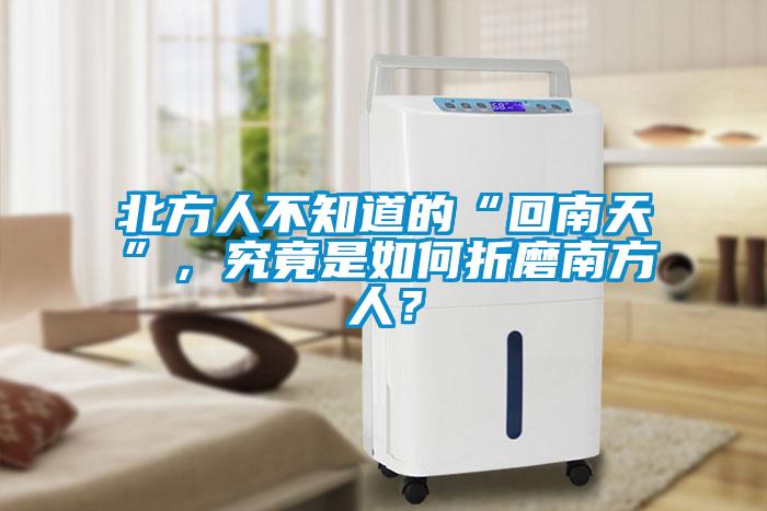 北方人不知道的“回南天”，究竟是如何折磨南方人？