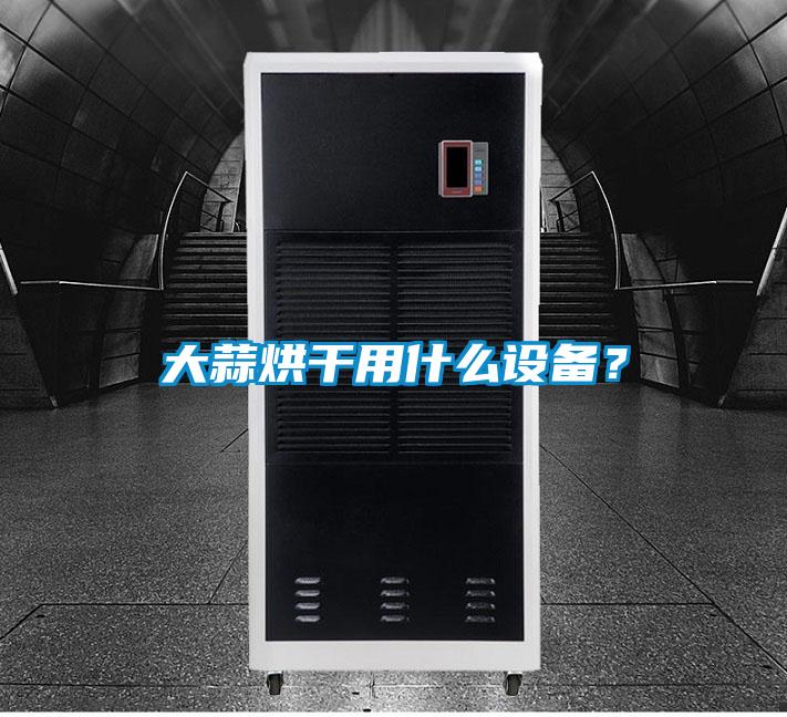 大蒜烘干用什么設(shè)備？