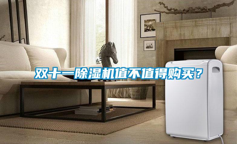 雙十一除濕機(jī)值不值得購(gòu)買(mǎi)？