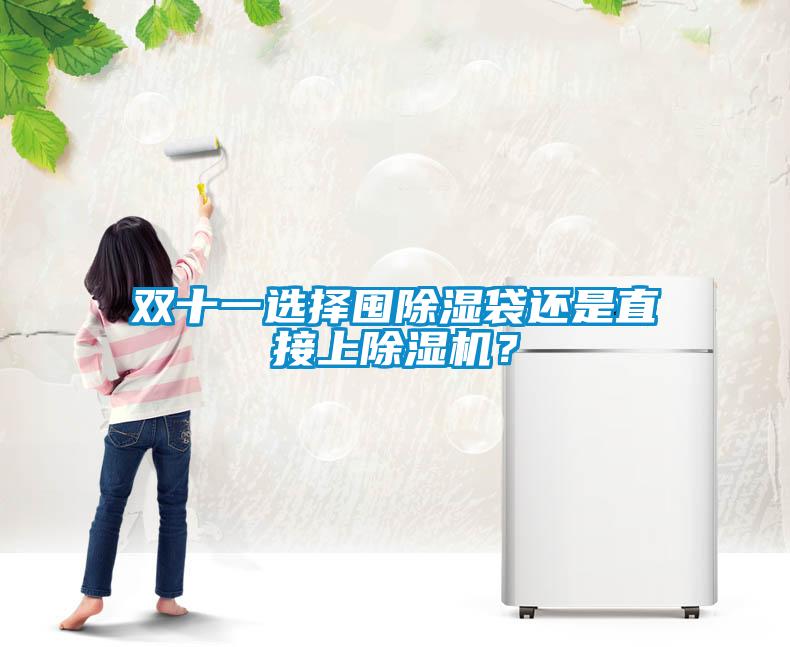 雙十一選擇囤除濕袋還是直接上除濕機(jī)？