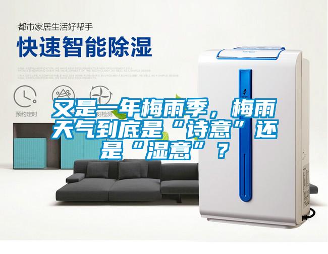 又是一年梅雨季，梅雨天氣到底是“詩(shī)意”還是“濕意”？