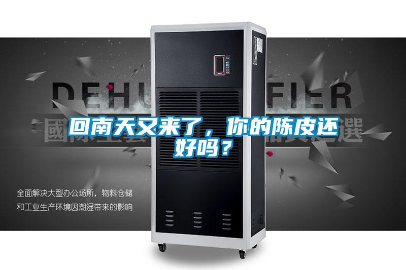 回南天又來了，你的陳皮還好嗎？