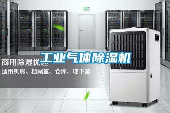 工業(yè)氣體除濕機