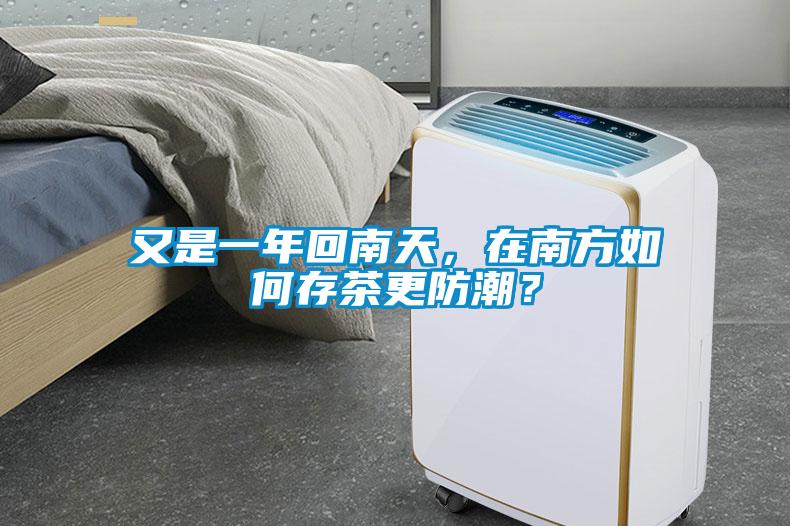又是一年回南天，在南方如何存茶更防潮？