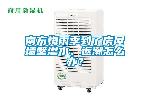 南方梅雨季到了房屋墻壁滲水、返潮怎么辦？