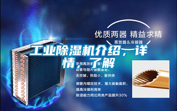 工業(yè)除濕機介紹，詳情，了解