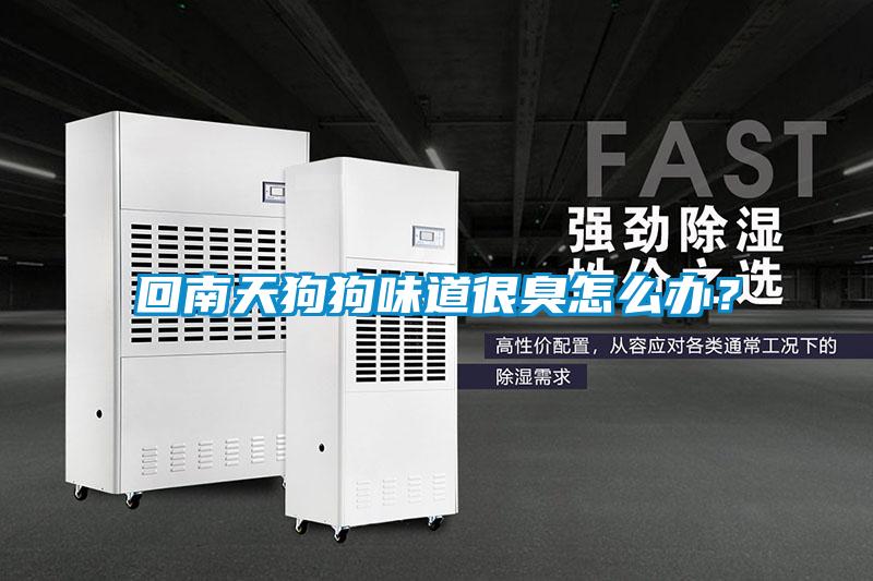 回南天狗狗味道很臭怎么辦？