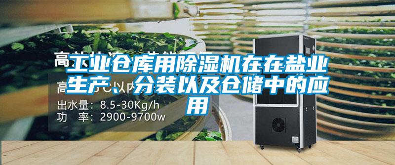 工業(yè)倉庫用除濕機在在鹽業(yè)生產(chǎn)、分裝以及倉儲中的應用