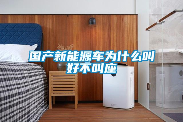 國(guó)產(chǎn)新能源車(chē)為什么叫好不叫座