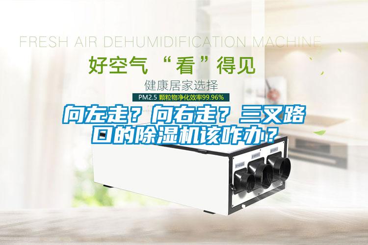 向左走？向右走？三叉路口的除濕機(jī)該咋辦？