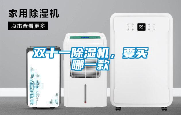 雙十一除濕機，要買哪一款
