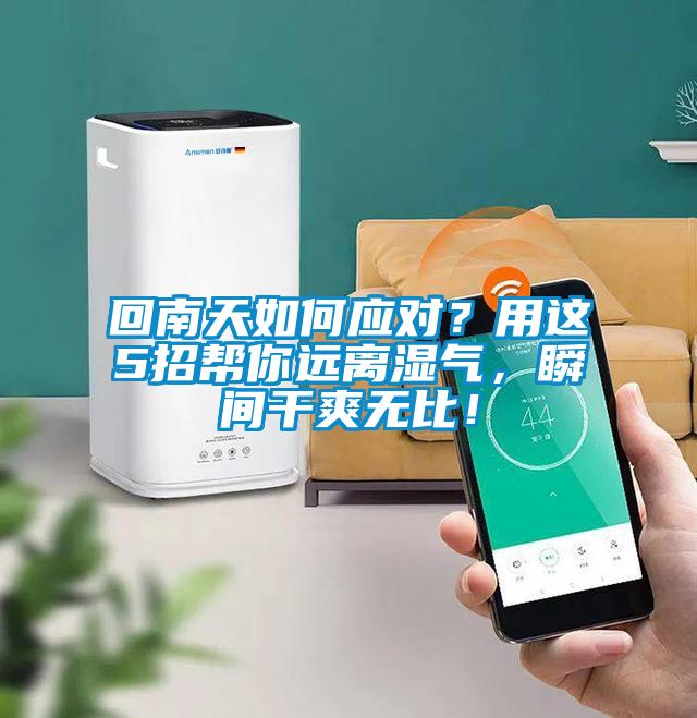 回南天如何應(yīng)對？用這5招幫你遠(yuǎn)離濕氣，瞬間干爽無比！