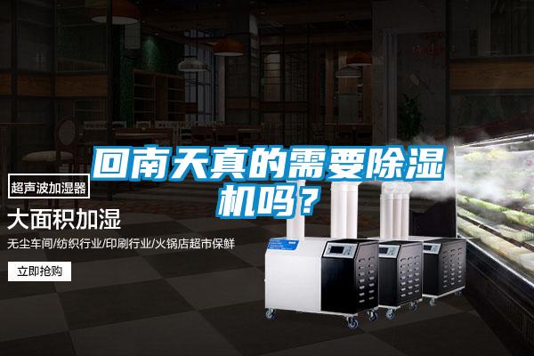 回南天真的需要除濕機嗎？