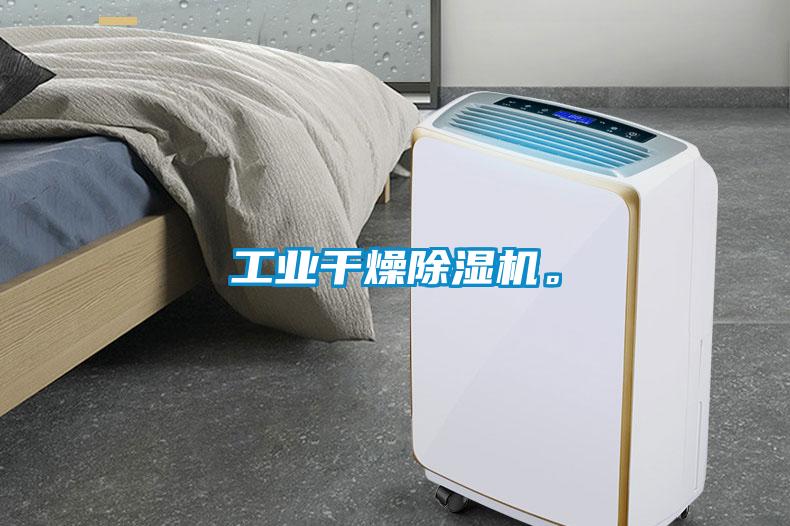 工業(yè)干燥除濕機(jī)。