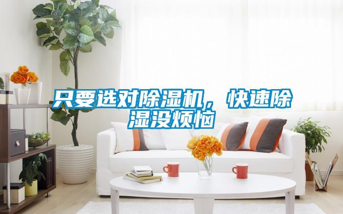只要選對(duì)除濕機(jī)，快速除濕沒煩惱
