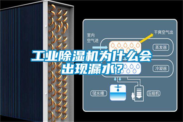 工業(yè)除濕機(jī)為什么會(huì)出現(xiàn)漏水？