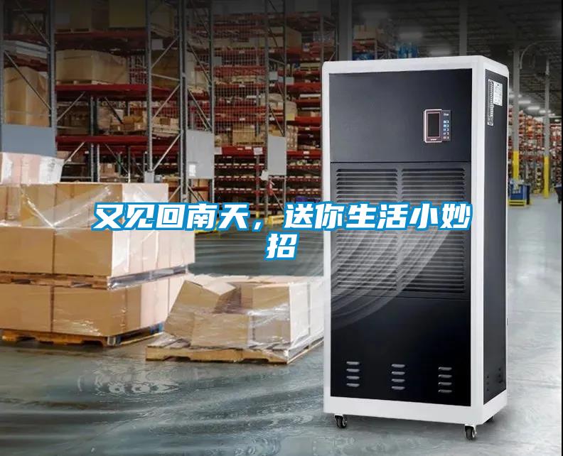 又見回南天，送你生活小妙招