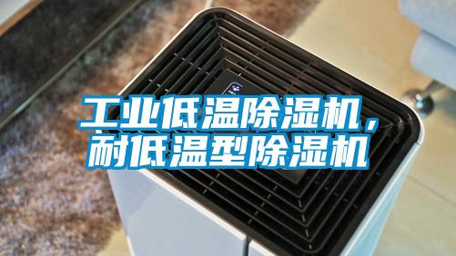 工業(yè)低溫除濕機，耐低溫型除濕機
