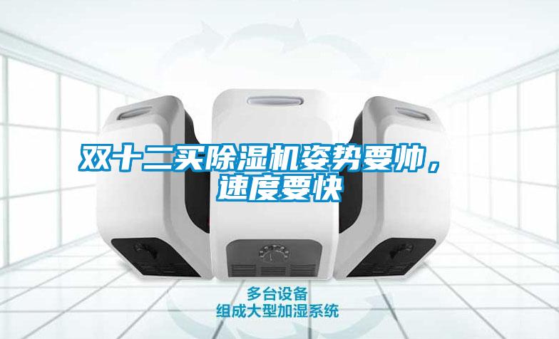 雙十二買除濕機姿勢要帥， 速度要快