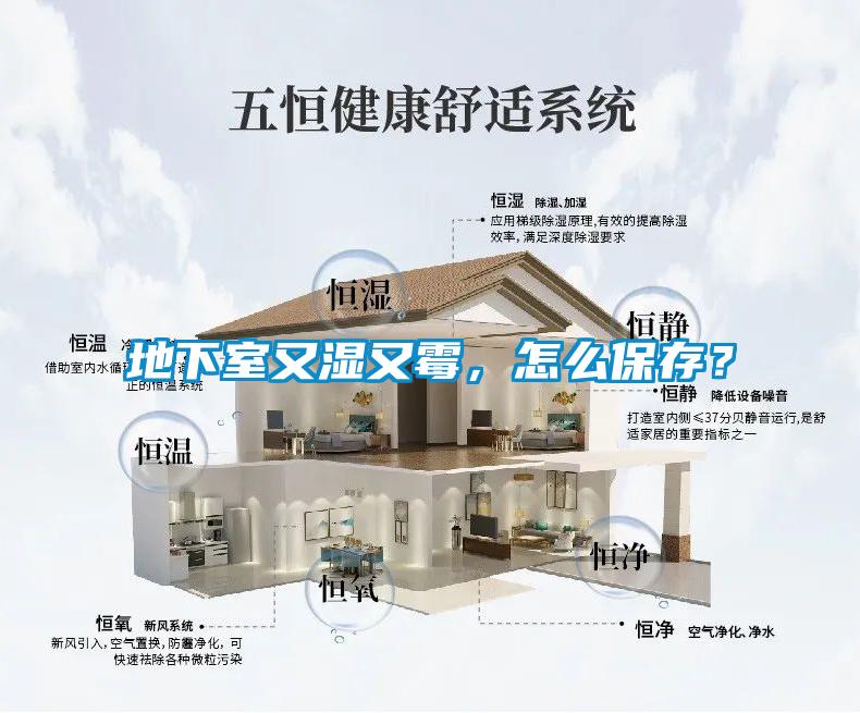 地下室又濕又霉，怎么保存？
