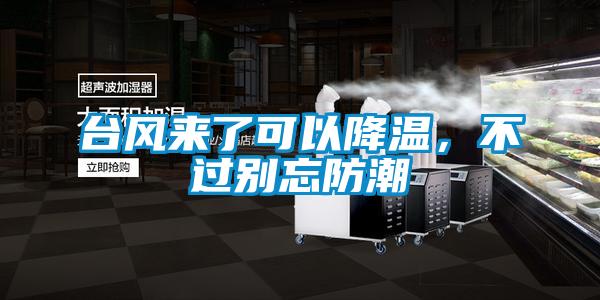 臺(tái)風(fēng)來了可以降溫,不過別忘防潮