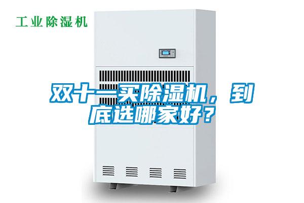 雙十一買除濕機(jī)，到底選哪家好？