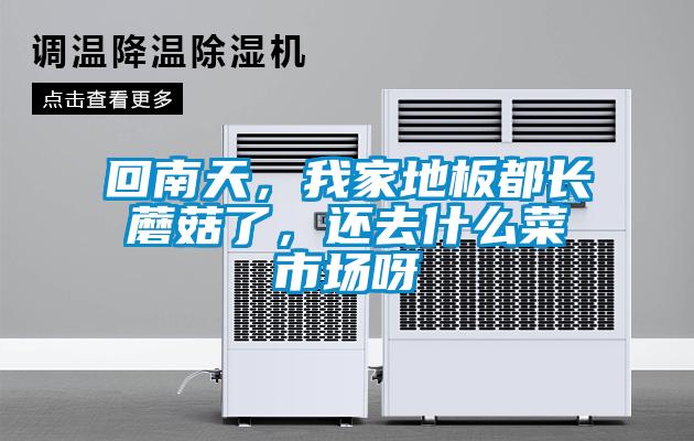 回南天，我家地板都長(zhǎng)蘑菇了，還去什么菜市場(chǎng)呀