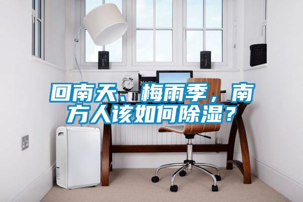 回南天、梅雨季，南方人該如何除濕？