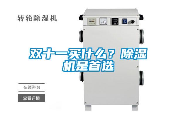 雙十一買什么？除濕機(jī)是首選
