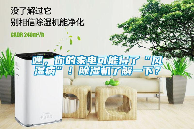 嘿，你的家電可能得了“風濕病”！除濕機了解一下？