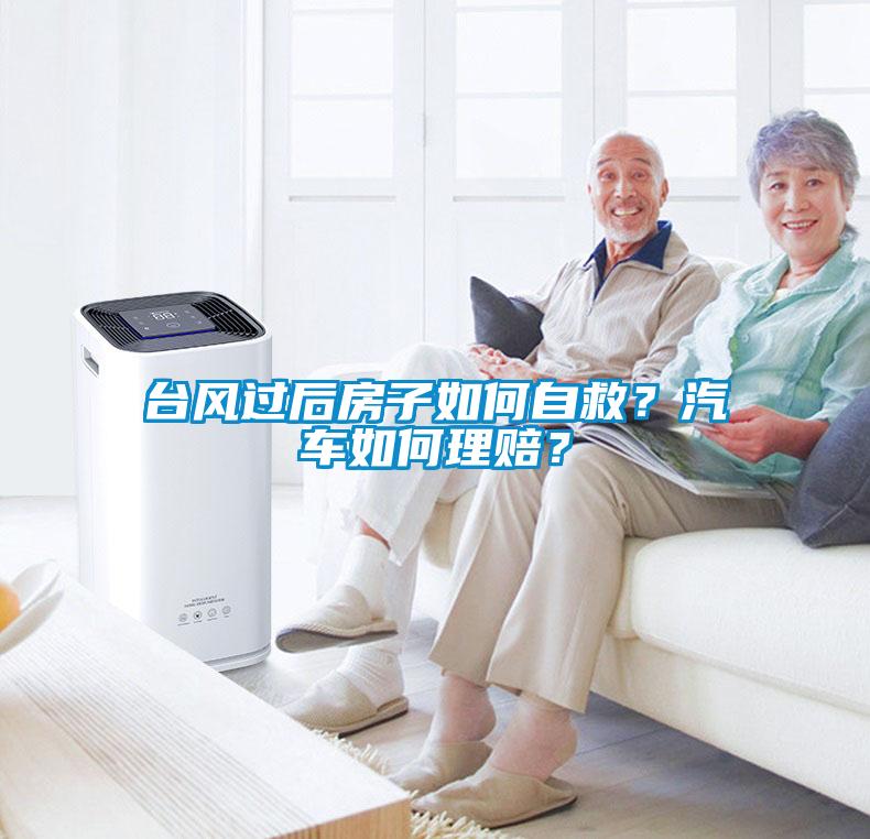 臺風過后房子如何自救？汽車如何理賠？