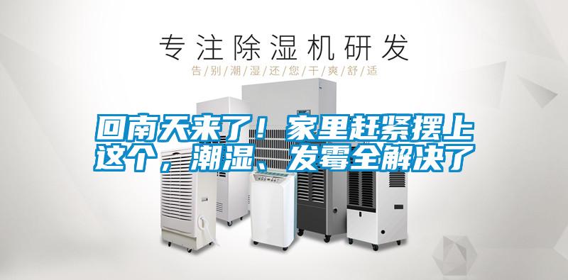回南天來了！家里趕緊擺上這個(gè)，潮濕、發(fā)霉全解決了