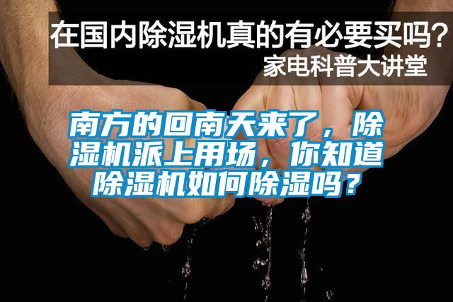 南方的回南天來了，除濕機(jī)派上用場，你知道除濕機(jī)如何除濕嗎？