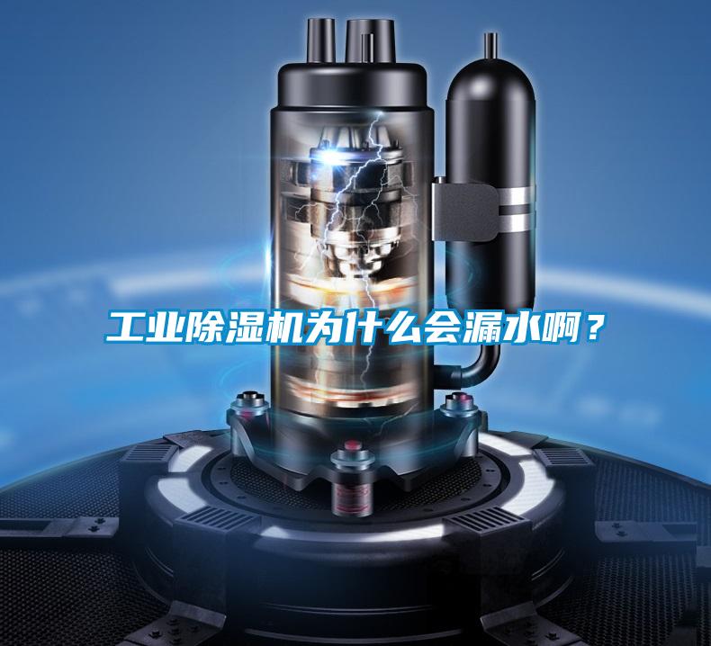 工業(yè)除濕機(jī)為什么會漏水?。?/></p>
						    <p style=