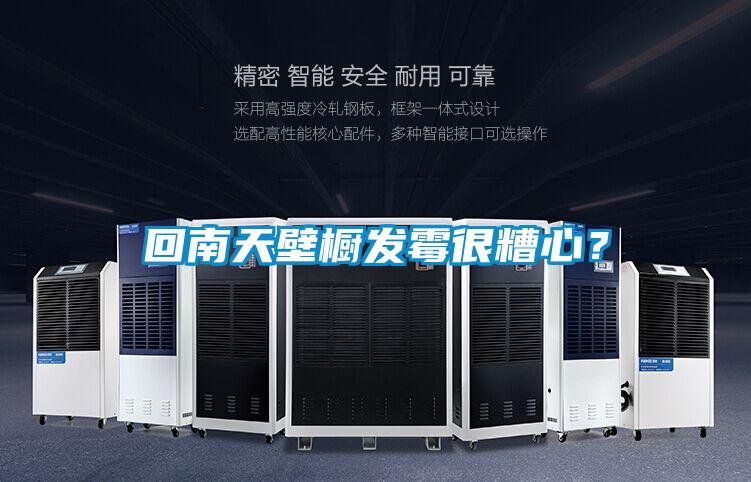 回南天壁櫥發(fā)霉很糟心？