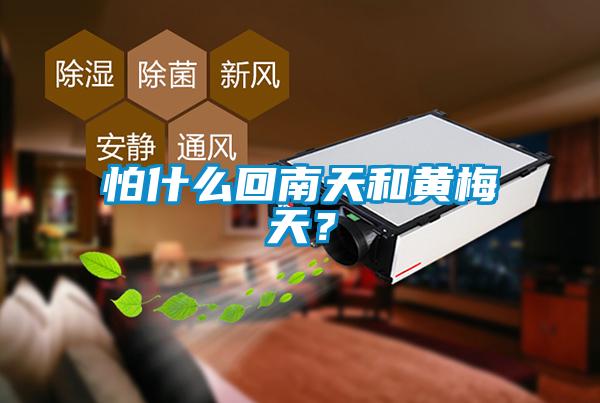 怕什么回南天和黃梅天？