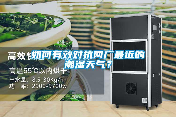 如何有效對抗兩廣最近的潮濕天氣？
