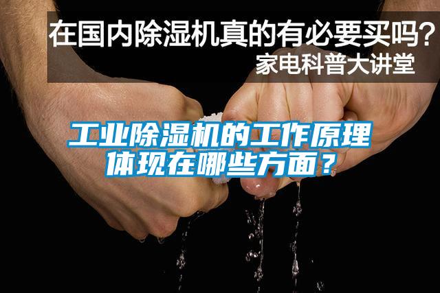 工業(yè)除濕機的工作原理體現(xiàn)在哪些方面？
