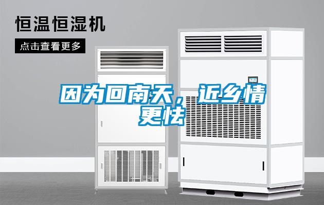 因?yàn)榛啬咸?，近鄉(xiāng)情更怯