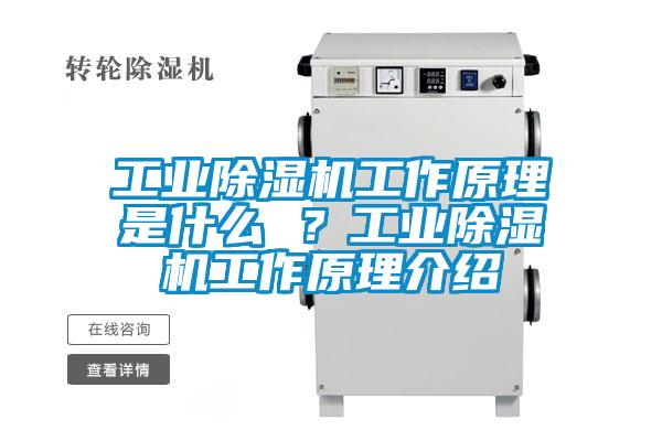 工業(yè)除濕機工作原理是什么 ？工業(yè)除濕機工作原理介紹