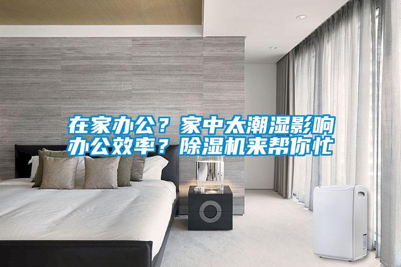 在家辦公？家中太潮濕影響辦公效率？除濕機(jī)來(lái)幫你忙