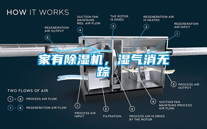 家有除濕機，濕氣消無蹤