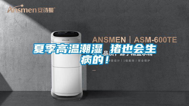 夏季高溫潮濕 豬也會(huì)生病的！