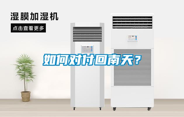 如何對付回南天？