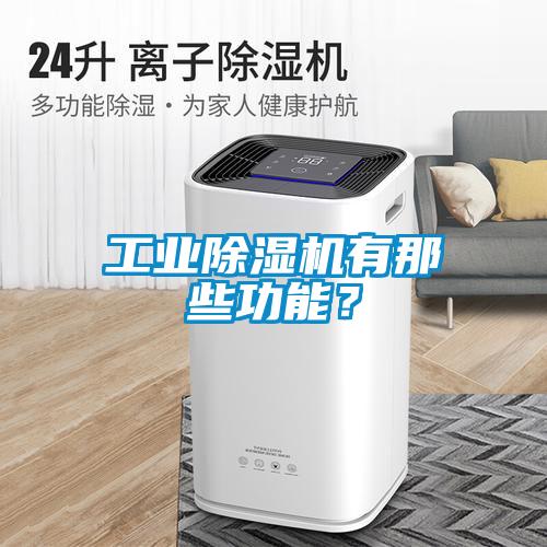 工業(yè)除濕機(jī)有那些功能？