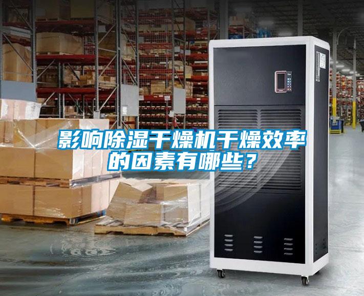 影響除濕干燥機干燥效率的因素有哪些？