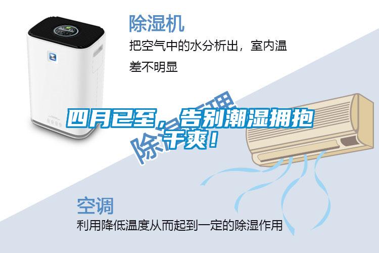 四月已至，告別潮濕擁抱干爽！