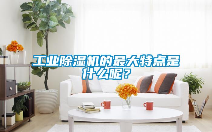 工業(yè)除濕機的最大特點是什么呢？