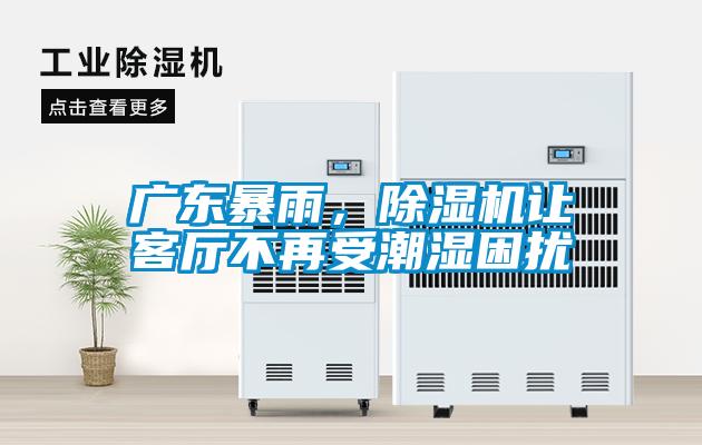 廣東暴雨，除濕機讓客廳不再受潮濕困擾
